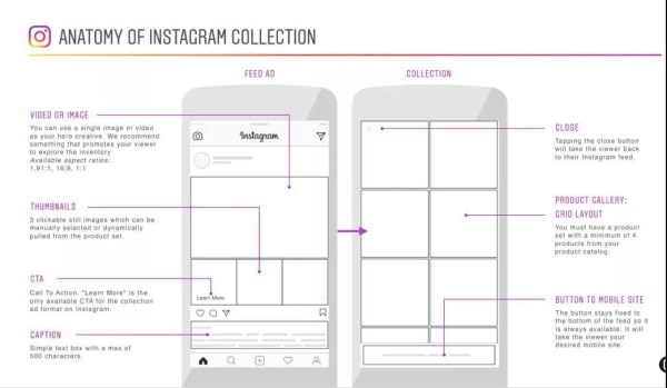 星谷专注外贸营销推广