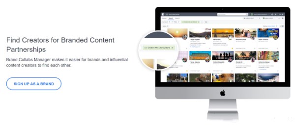 星谷专注Facebook营销